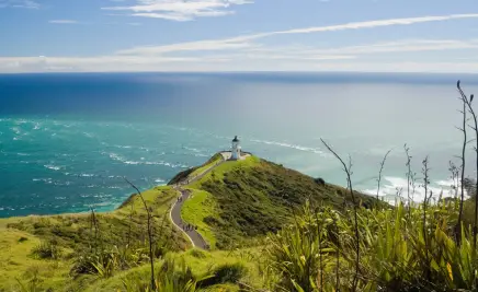 Nördlicher Punkt Neuseeland Landschaft