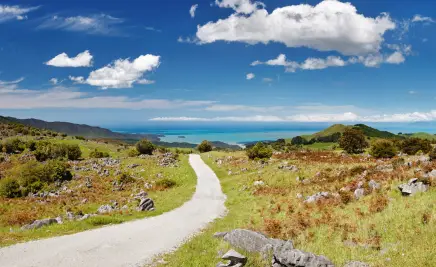 Landschaft Nationalpark Neuseeland