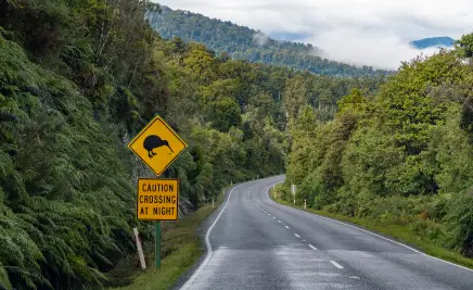 Schild Kiwi Neuseeland
