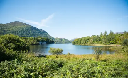 See und grüne Landschaft