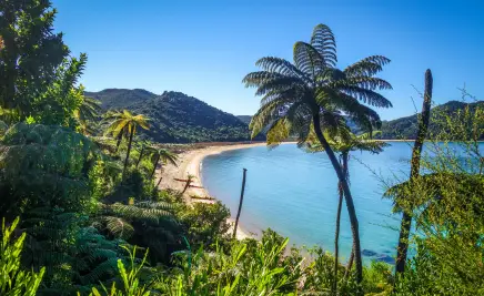Abel Tasman National Park​