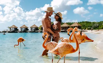 Aruba