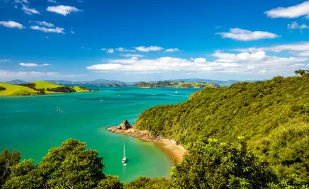 Bay of Islands​