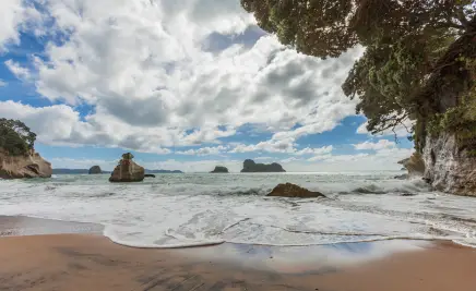 Coromandel Peninsula​