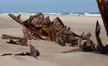 Die Skeleton Coast​
