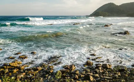 Die Wild Coast​