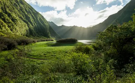 Grüne Landschaft
