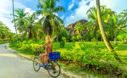 La Digue​