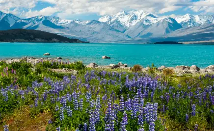 Lake Tekapo und Mount Cook​