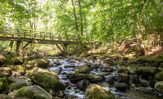 Holzbachschlucht Westerwald