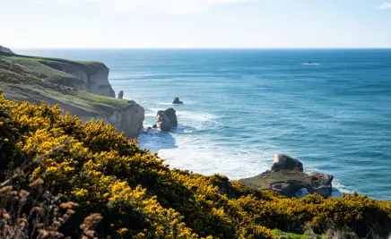 Neuseeland Küste