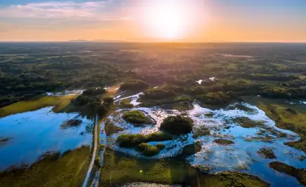 Pantanal, Brasilien​