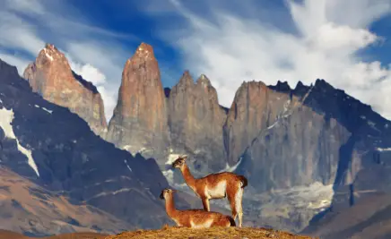 Torres del Paine-Nationalpark, Chile​