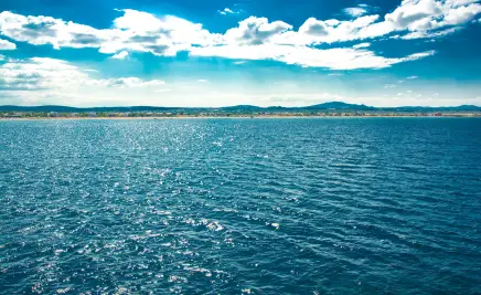 Meer
