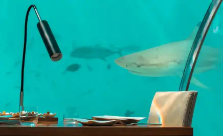 Unterwasser Restaurant