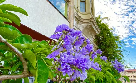 Valparaíso