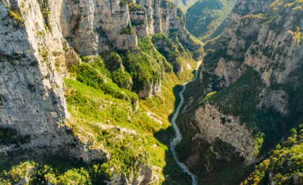 Natur Schlucht