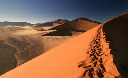 Wüste