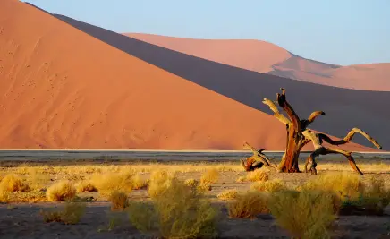 Wüste Namibia