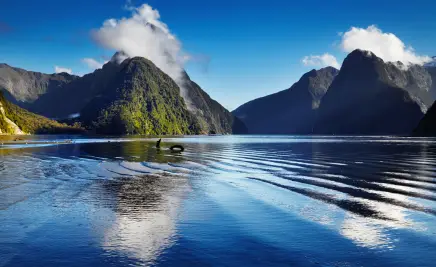 Mildford Sound Neuseeland