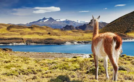 Patagonien