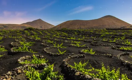 Lanzarote